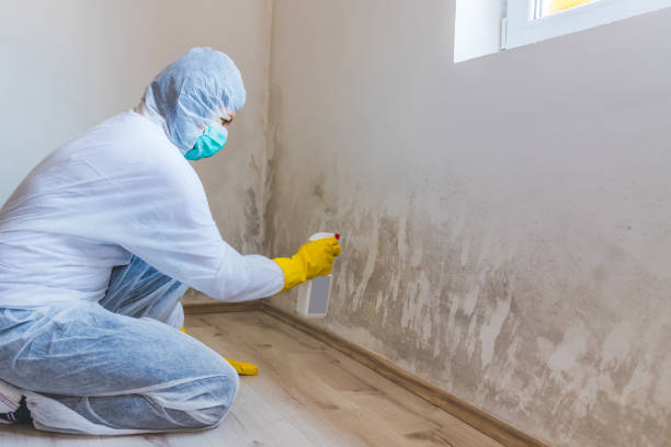 Licensed Bathroom Mold Removal service in Wood Dale, IL - WQB Mold Removal