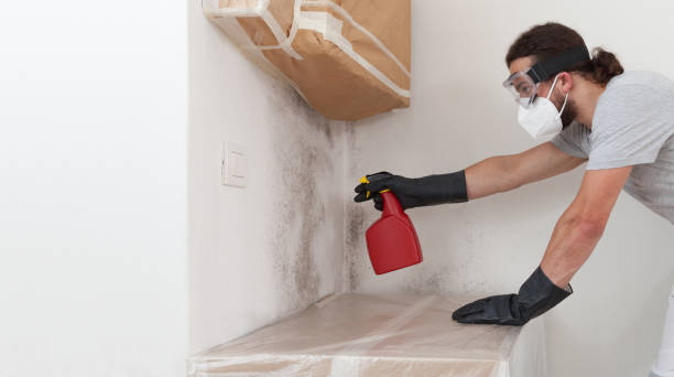 Professional Bathroom Mold Removal technician working in Wood Dale, IL
