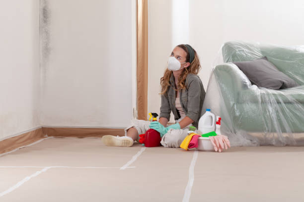 Reliable Bathroom Mold Removal contractor in Wood Dale, IL by WQB Mold Removal